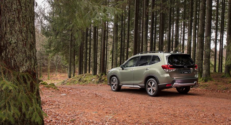 Subaru forester provis 2019 03