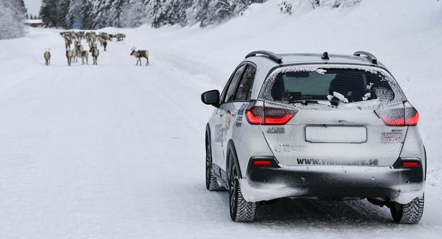 Många Norrlandsmil för Jazz Crosstar som här är på väg i riktning Jokkmokk.
